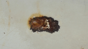 https://www.kalialenaghan.com/files/gimgs/th-12__DSC9074_v2.jpg
