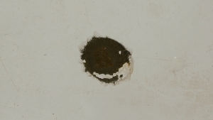 https://www.kalialenaghan.com/files/gimgs/th-12__DSC9087_v2.jpg