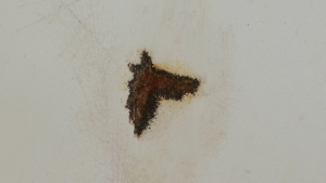 https://www.kalialenaghan.com/files/gimgs/th-12__DSC9100_v2.jpg