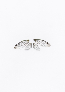 https://www.kalialenaghan.com/files/gimgs/th-14_wings_v2.jpg