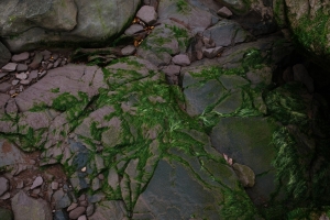 https://www.kalialenaghan.com/files/gimgs/th-42_DSCF2137.jpg