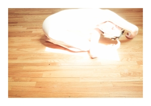 https://www.kalialenaghan.com/files/gimgs/th-62_DSCF7850-border.jpg